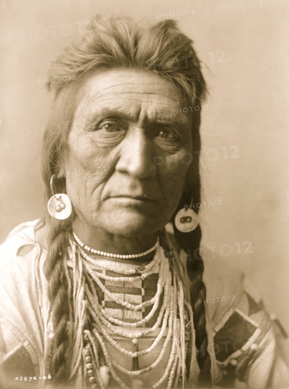 Wolf 1912