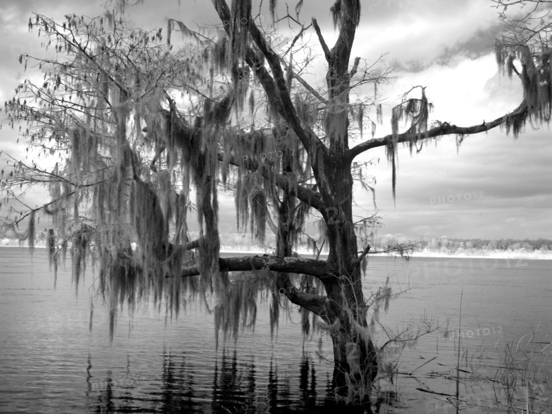 Blakeley State Park, scene of the last major battle of the Civil War 2010
