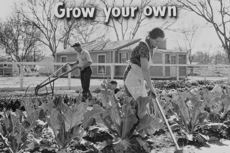 Homegrown food is homegrown wealth.  1936