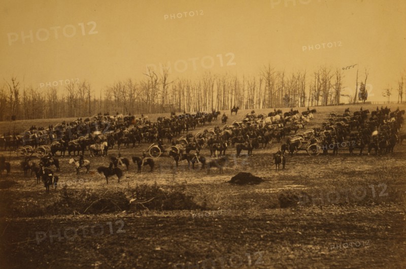 Horse artillery on parade grounds 1864