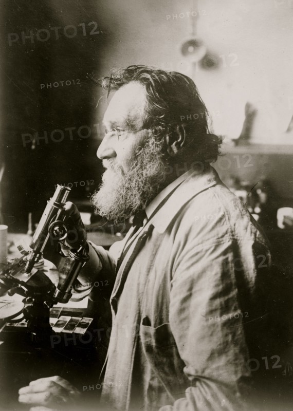 Ilya Metchinkoff nown
