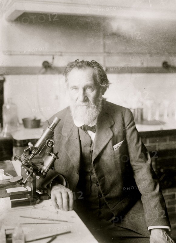 Ilya Metchinkoff nown