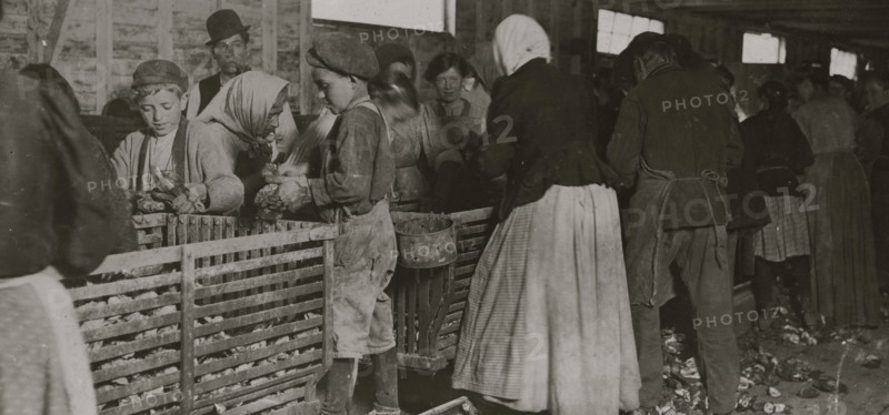 Johnnie, a nine-year-old oyster shucker.  1911