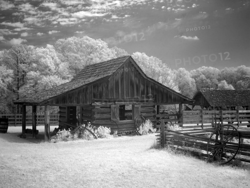 Landmark Park, near Dothan, Alabama 2010