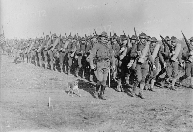 Marching US Infantry in Texas as a mascot dog is near the head of the column