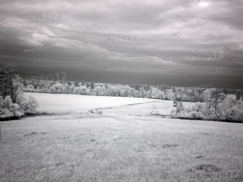 Meadowbank Farm 2010
