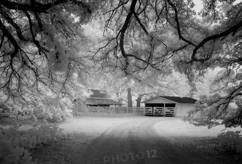 Meadowbank Farm 2010