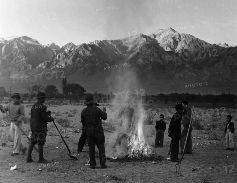 Burning leaves, autumn dawn 1943