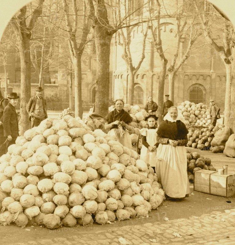 Mounds of Cabbages to be Cooked into Sour Kraut