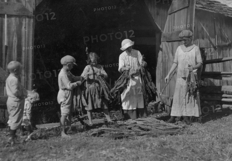 Mrs. J.L. Hazel and children stripping tobacco.  1917