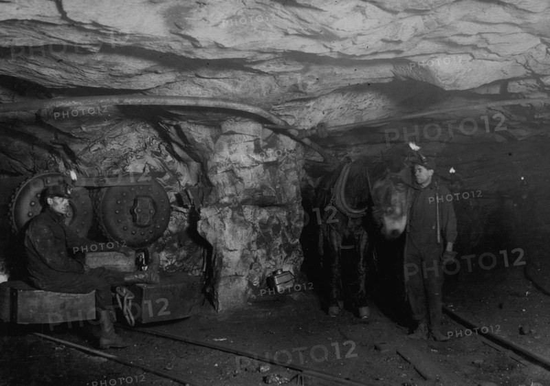 Mule power and motor power. A Young Driver, Shaft #6, Pennsylvania Coal Company.  1908