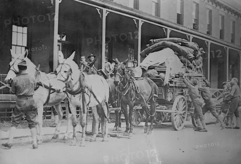 Mule team of 12th Infantry pulling loaded wagon on hike to Pine Plains 1908