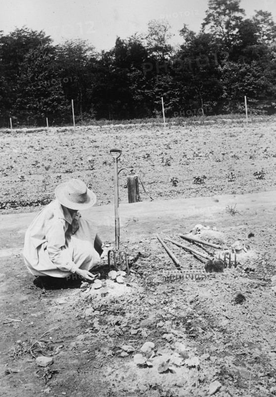 National Women's Defense League Camp Gardener