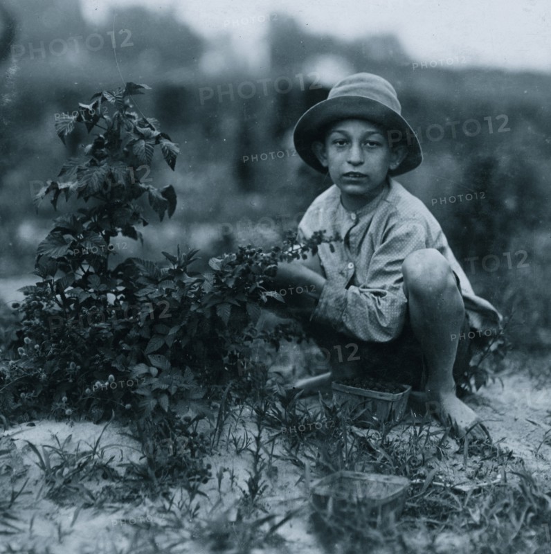 Norris Lovitt. Been picking for 3 years in berry fields near Baltimore, Md. 1910