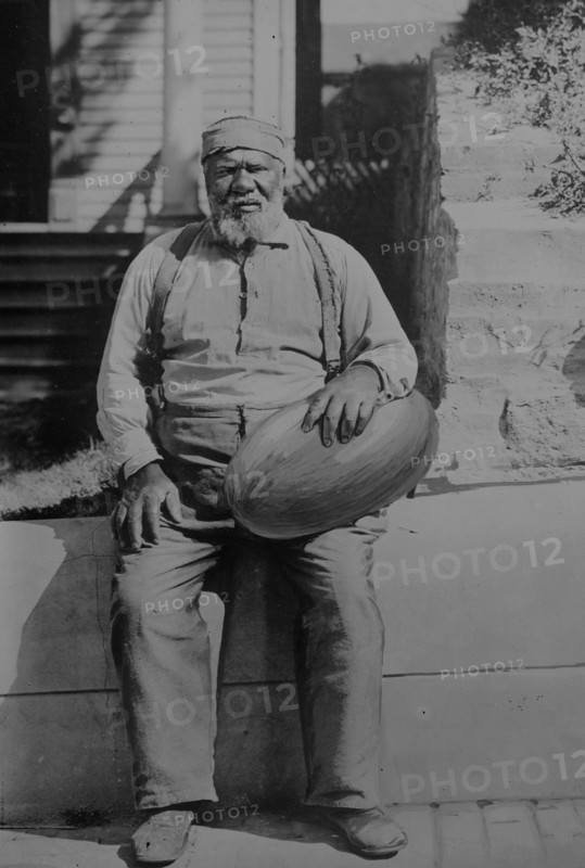 The Melon-cholic days have come, the gladdest of the year 1906