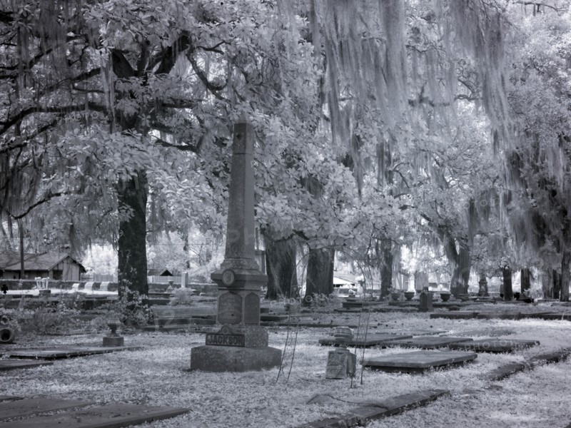 Old Live Oak Cemetery, Selma, Alabama 2010