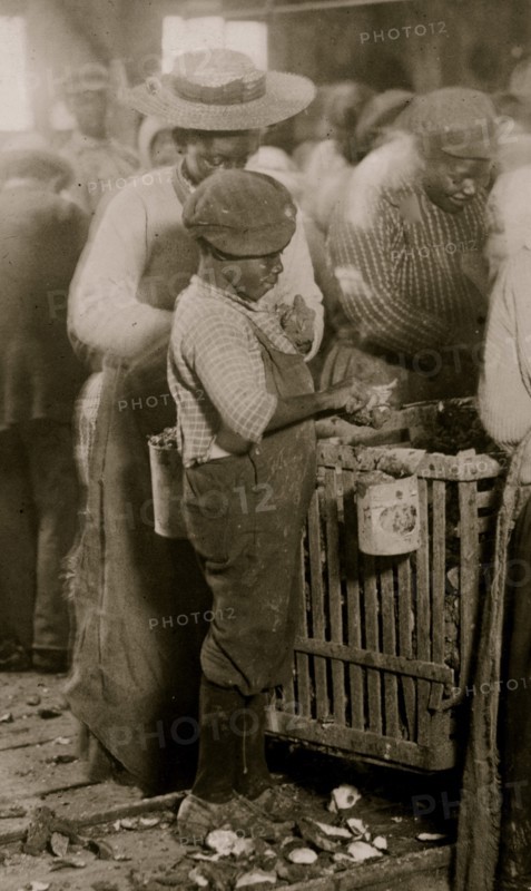 One of the smallest Black oyster shuckers  on the Atlantic Coast. 1908