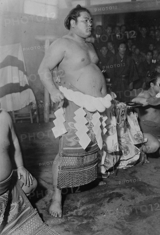 Sumo