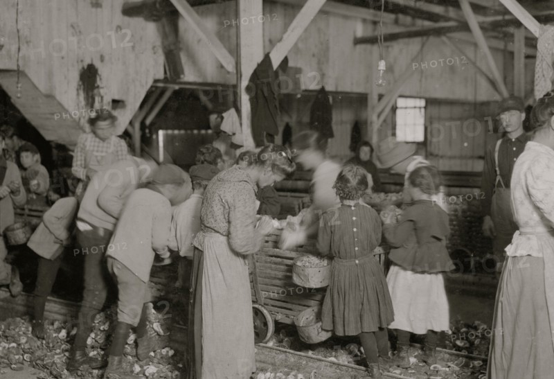 Jewish oyster shuckers in Barataria Canning Co. In this group are Gertrude Kohn, five years old, and Pauline ---, eight years old 1911