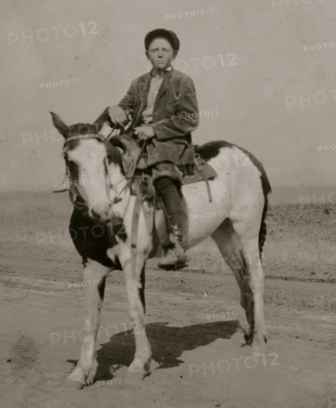 Part of the force picking tomatoes on farm of W.T. Hill.  1917