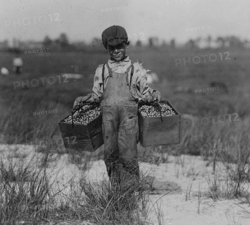 Peula Amava, 8 years old carries the cranberries and tends baby between times.  1910