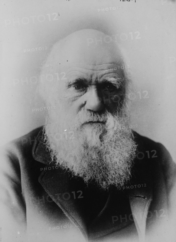 Portrait of Charles Darwin