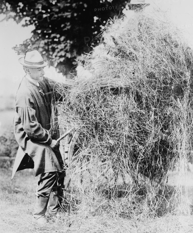 President Coolidge Loading Hay