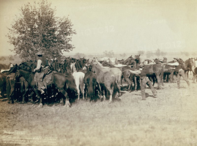 Roping and changing scene at Camp on round up on Cheyenne River 1890