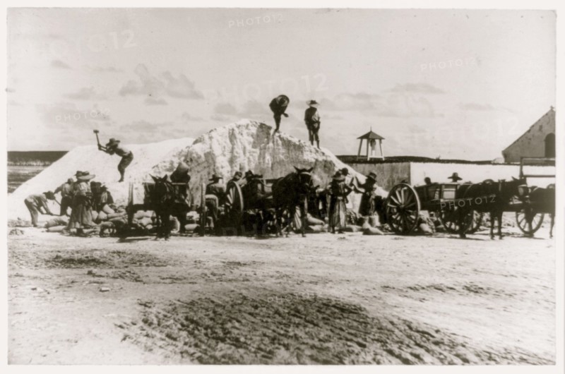 Salt mining, Turks and Caicos Islands, Jamaica 1910