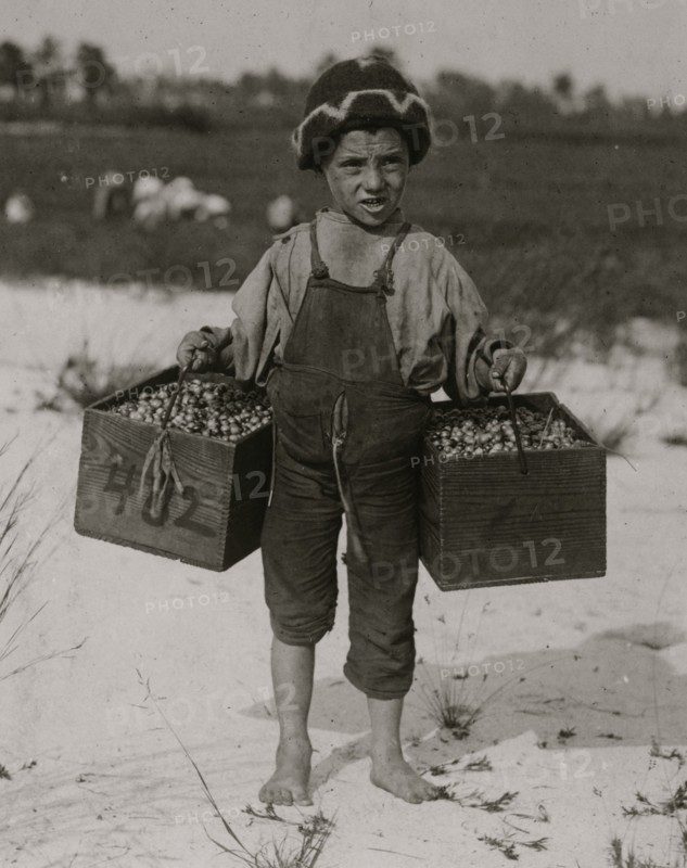 Salvin Nocito, 5 years old, carries 2 pecks of cranberries for long distance to the "bushel-man." Whites Bog, Browns Mills, N.J. 1910