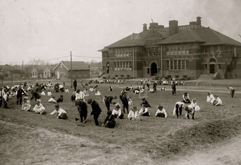School garden - Jefferson School. 1917