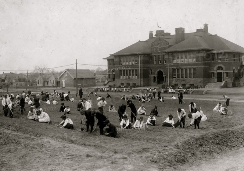 School garden - Jefferson School. 1917