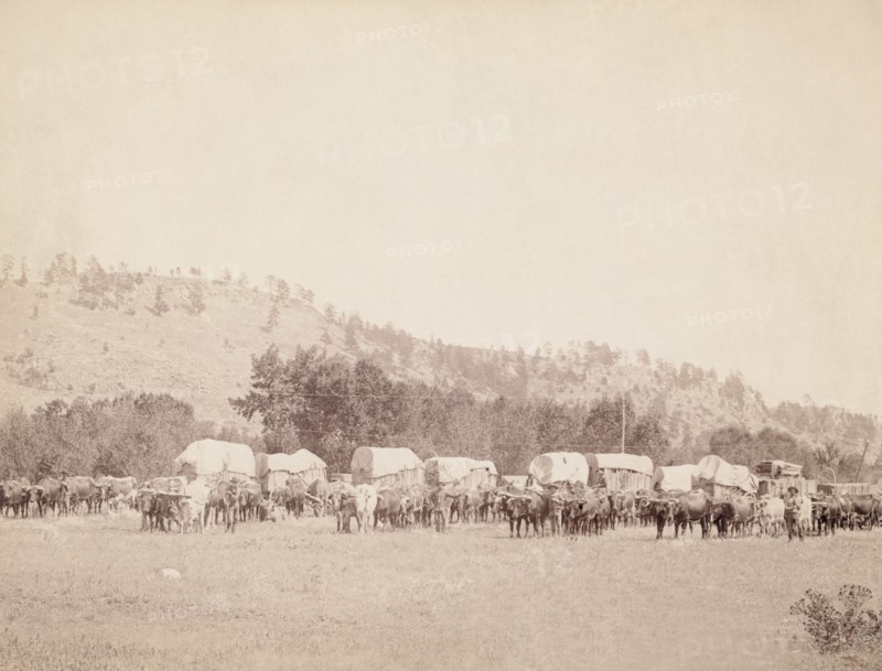 Freighting in the Black Hills 1890