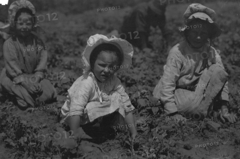 Sugar beet workers, Sugar City, Colorado. Mary, six years, Lucy, eight, Ethel, ten. Family has been here ten years. Children go to school in the winter 1915