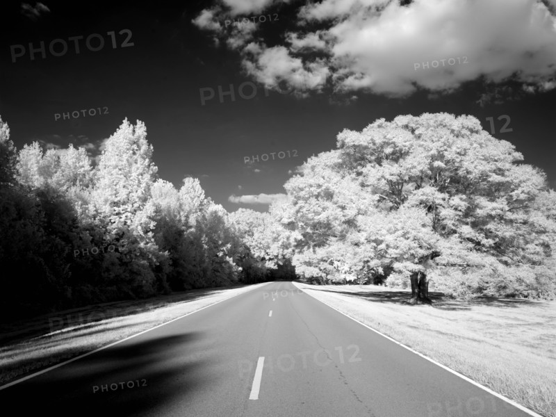 Natchez Trace Parkway, Mississippi 2007