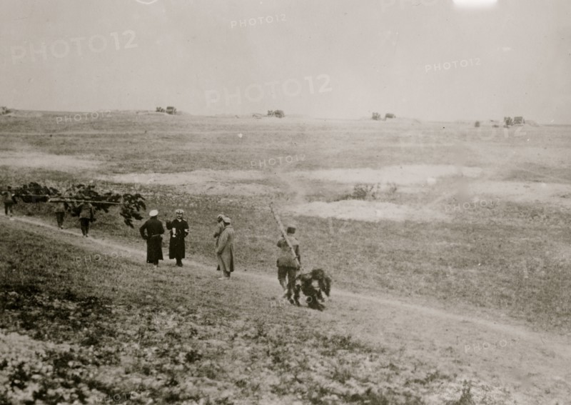 German Artillery near Verdun 1916