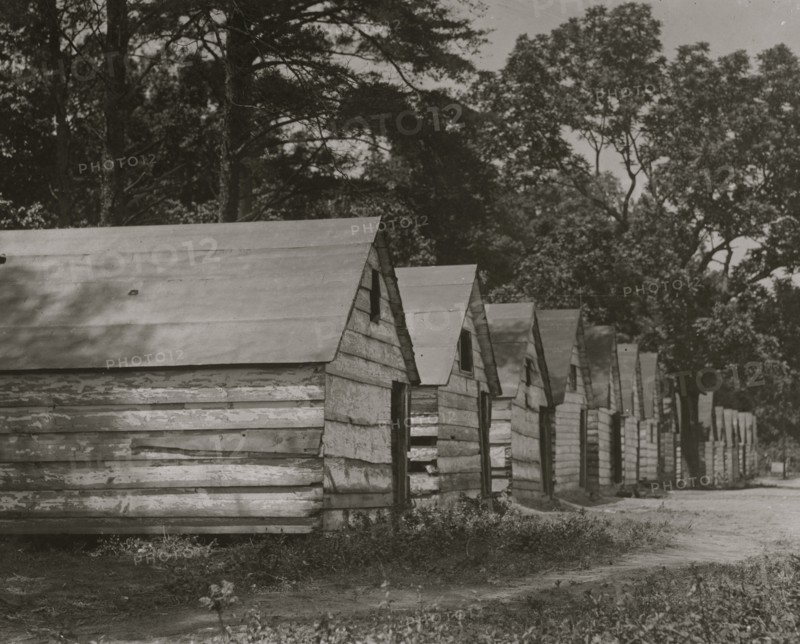 The Black berry pickers shacks on the farm of Col. J. J. Ross, Del. 1911