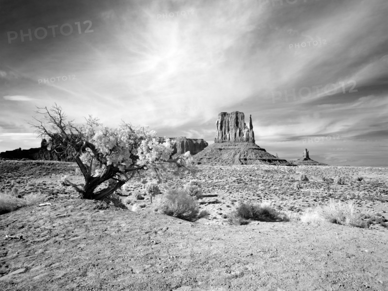 Monument Valley, Arizona 2007