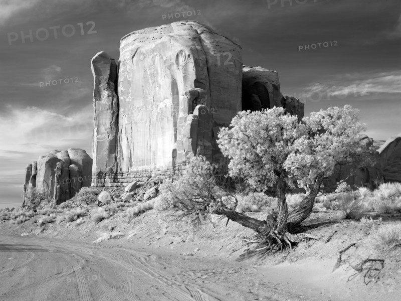 Monument Valley, Arizona 2007