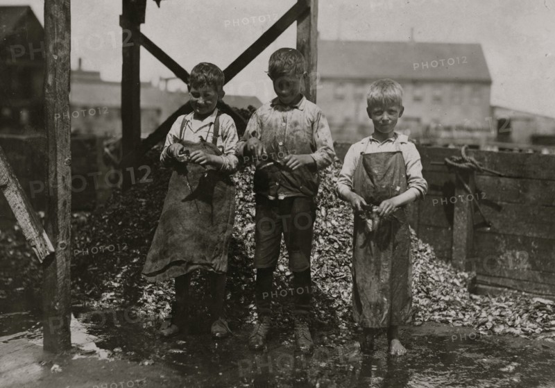 Three Sardine cutters at the Seacoast Canning Co., Eastport, Me.  1911