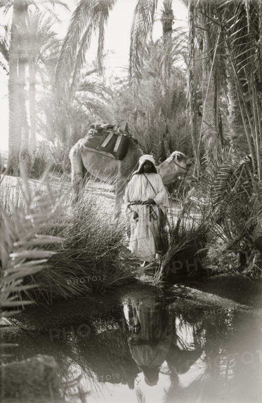 To Sinai via the desert. Scene at the Springs of Moses; Marah 1910