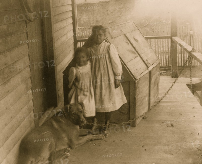 Two African American children with a dog in Georgia 1899