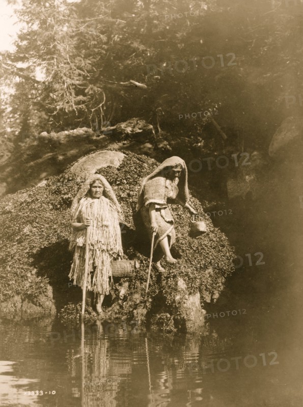 Gathering seaweed--Clayoquot 1910