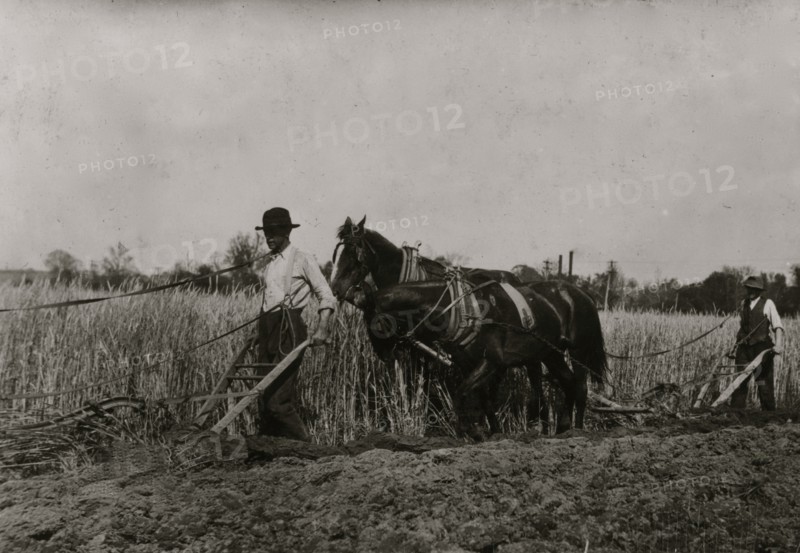 Two farmers behind horses as they pull a plow through a field 1916