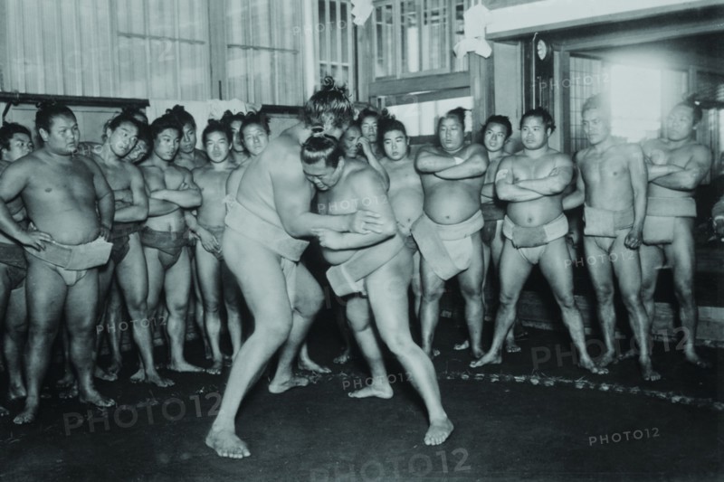 Sumo Wrestlers
