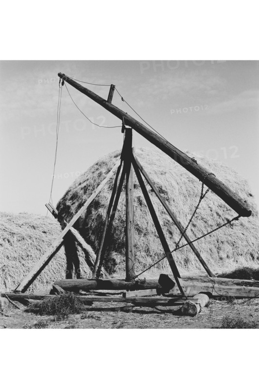 Hay Derrick 1939
