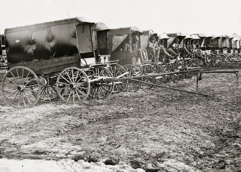 Virginia, City Point. Park of Army Wagons 1863