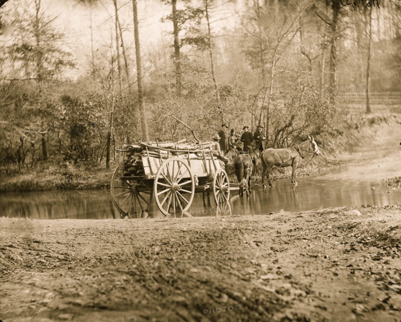 Virginia. Mule team crossing a brook