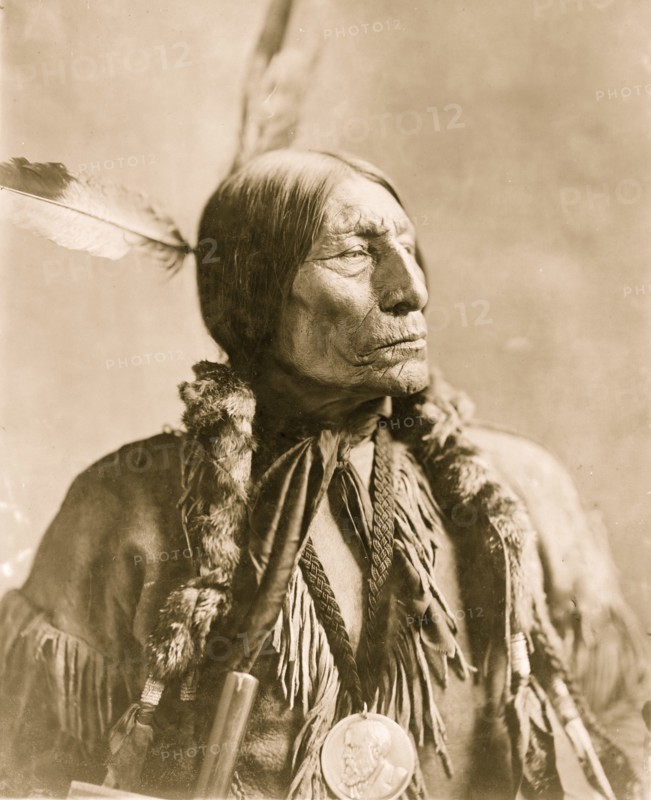 Wolf Robe 1904