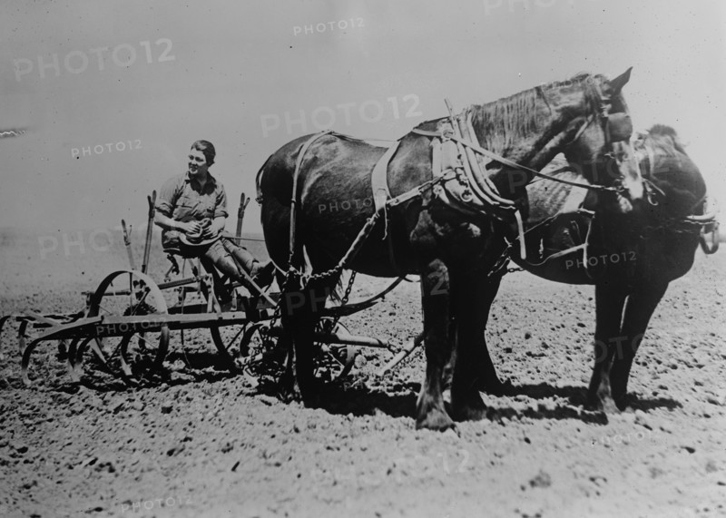 Woman's Land Army, Plowing a Field 1917